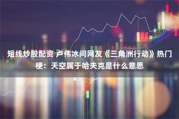 短线炒股配资 卢伟冰问网友《三角洲行动》热门梗：天空属于哈夫克是什么意思