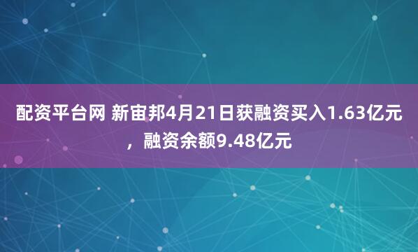 配资平台网 新宙邦4月21日获融资买入1.63亿元，融资余额9.48亿元