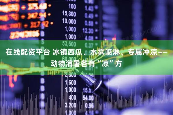 在线配资平台 冰镇西瓜、水雾喷淋、专属冲凉——动物消暑各有“凉”方