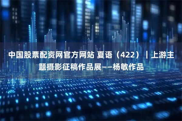 中国股票配资网官方网站 夏语（422）｜上游主题摄影征稿作品展——杨敏作品
